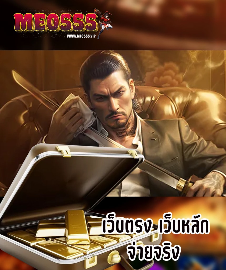 meo555 เข้าสู่ระบบ