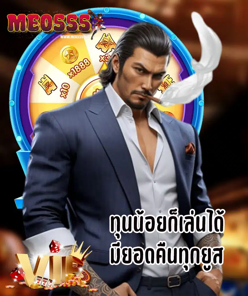 meo555 ทางเข้า